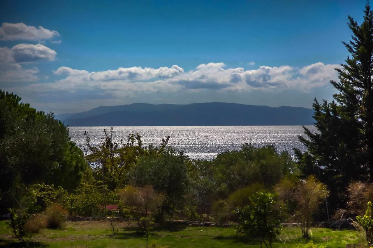 Driftwood Villa Karavados 0*,